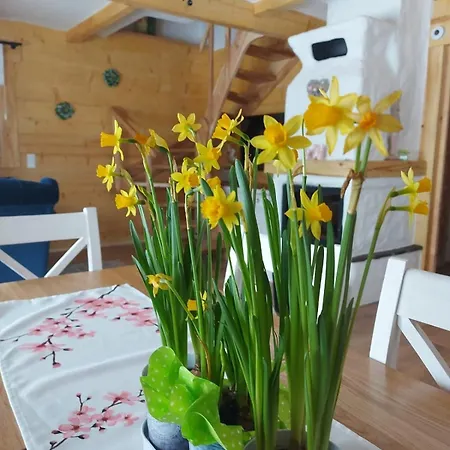 公寓 Dom Na Wichrowym Wzgorzu *