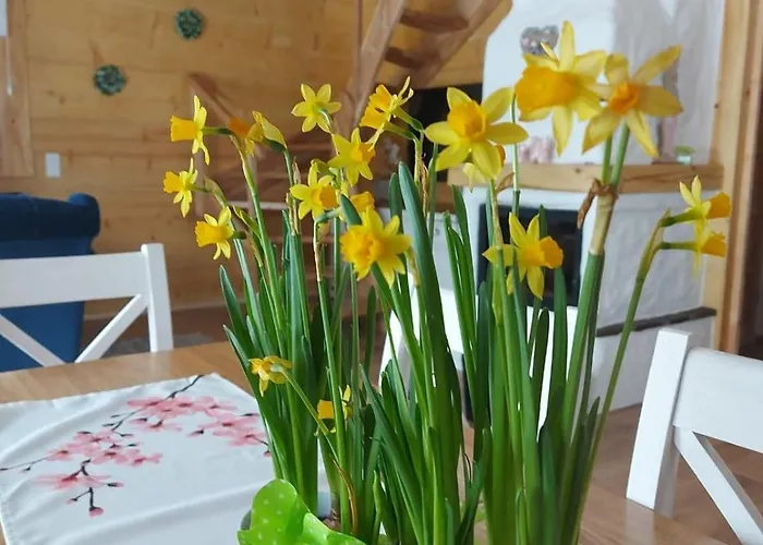 Апартаменты Dom Na Wichrowym Wzgorzu *