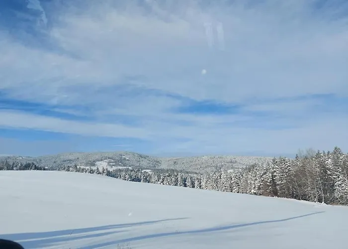 Апартаменты Dom Na Wichrowym Wzgorzu